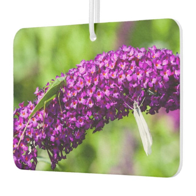 Ambientador energía katydid (Izquierda)