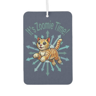 Ambientador Es el gato del tigre del tiempo de Zoomie