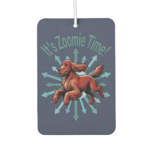 Ambientador Es hora de Zoomie Setter Irlandés