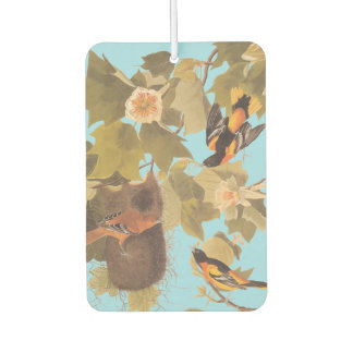 Ambientador Familia Baltimore Oriole Audubon con nido