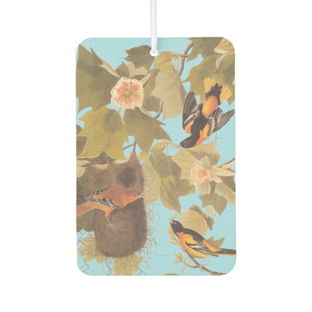 Ambientador Familia Baltimore Oriole Audubon con nido (Anverso)