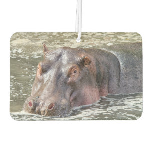 Ambientador Feliz Hippo
