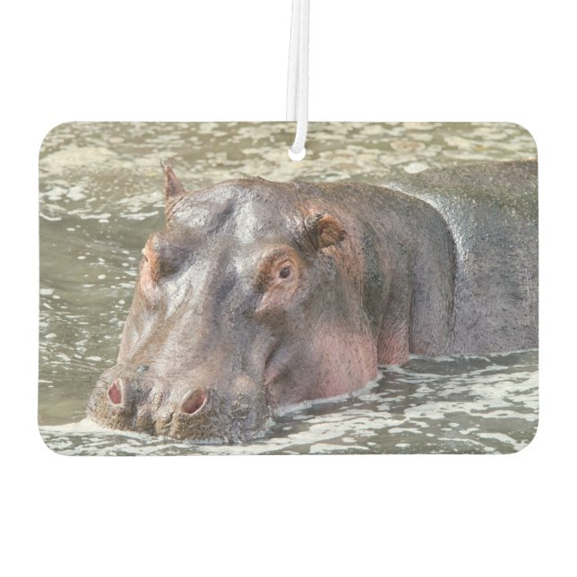 Ambientador Feliz Hippo (Reverso)