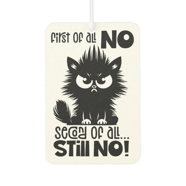 Ambientador First Of All, No Funny Cat Lover Gift  (Anverso)