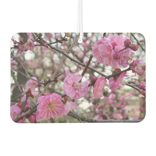 Ambientador Flor de cerezo rosado / Sakura サ・(桜). (Anverso)