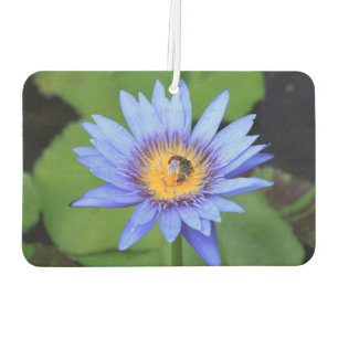 Ambientador Flor de Lotus