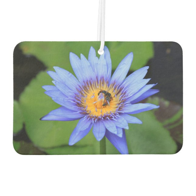 Ambientador Flor de Lotus (Reverso)