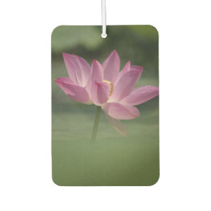 Ambientador Flor de Lotus rosado sagrado - Arte Zen sereno par