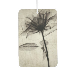 Ambientador Flor de rayos X de gran cosecha