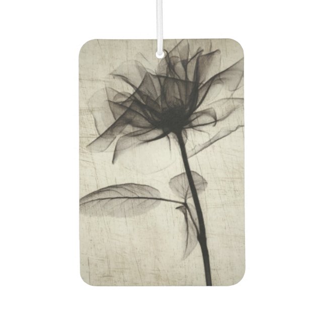 Ambientador Flor de rayos X de gran cosecha (Anverso)