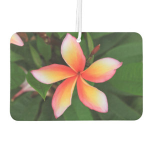 Ambientador Flor del Frangipani