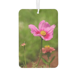 Ambientador Flor rosa brillante de cosmos verde