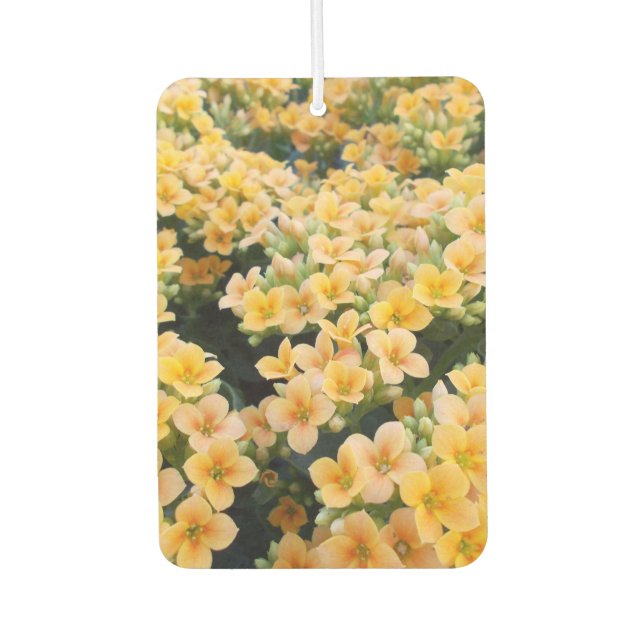 Ambientador Flores Amarillas (Anverso)