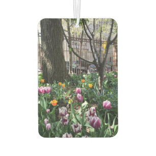 Ambientador Flores de tulipanes de primavera en el jardín comu