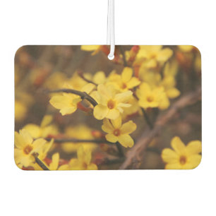 Ambientador flores flor florece enredaderas pétalos planta flo