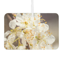 Ambientador Flores increíbles Air Freshener