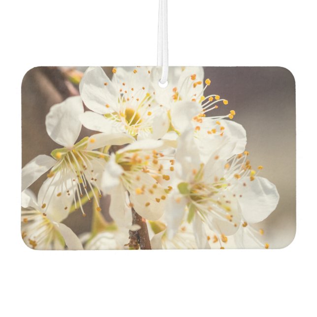 Ambientador Flores increíbles Air Freshener (Anverso)