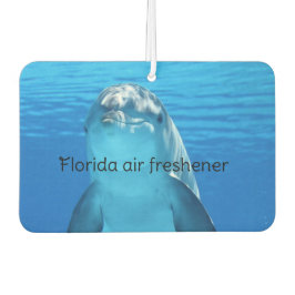 Ambientador Florida 