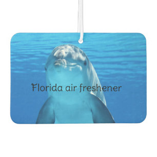 Ambientador Florida 