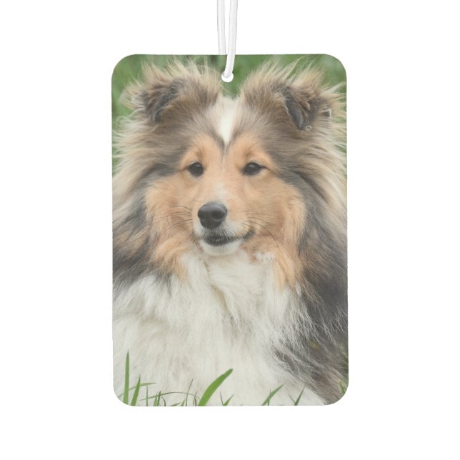 Ambientador Foto conmemorativa del Mascota de perro fotográfic (Reverso)