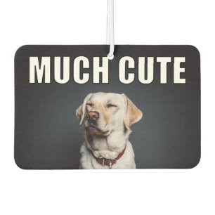 Ambientador Foto de Mascota personalizado Divertido Estilo Mem