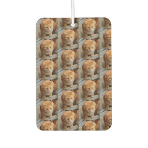 Ambientador Foto de perro de gato mascota Personaliza a Person