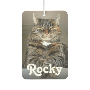 Ambientador Foto Mascota personalizada y nombre auto de doble 