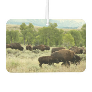 Ambientador Fotografía de animales de la naturaleza de Wyoming