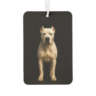 Ambientador Fragancias para coche Black 4 Luxe con Dogo Argent