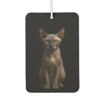 Fragancias para coche Black 4 Luxe, gato Sphynx