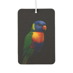 Ambientador Fragancias para coche Black 4 Luxe, Lorikeet Loro