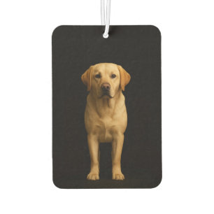 Ambientador Fragancias para coche Black 4 Luxe Minimal Labrado