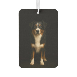 Ambientador Fragancias para coche Black 4 Luxe Pastor Australi