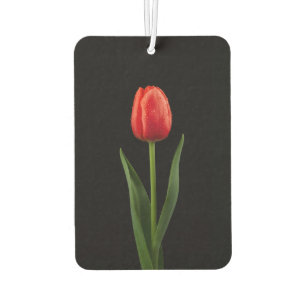 Ambientador Fragancias para coche Black 4 Luxe Tulipán Rojo Ru