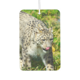 Ambientador Fresenador de aire de Snow Leopard Car