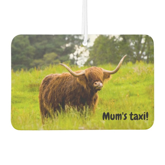 Ambientador Fresenador de aire Highland Cow Car (Anverso)