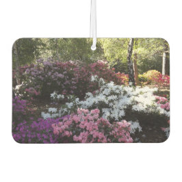 Ambientador Freshener de Forest Air