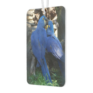 Ambientador freshener del coche de aire _ loros