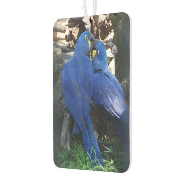 Ambientador freshener del coche de aire _ loros (Izquierda)