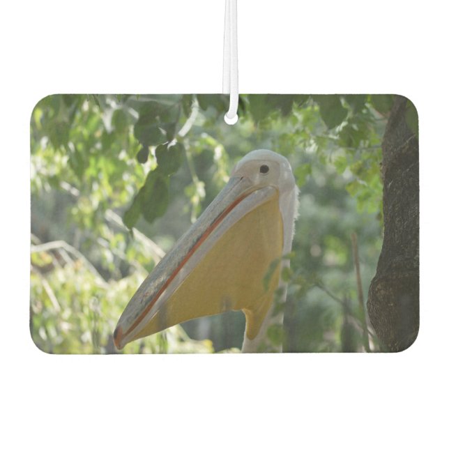 Ambientador Fresheners de Aire Automático con un hermoso pelíc (Anverso)