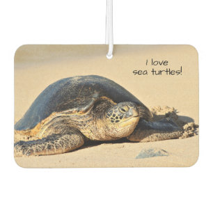 Ambientador Freshner de aire de tortuga marina hawaiana