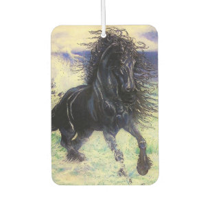 Ambientador Frisón, semental negro, caballo Frisan/Frisón/7