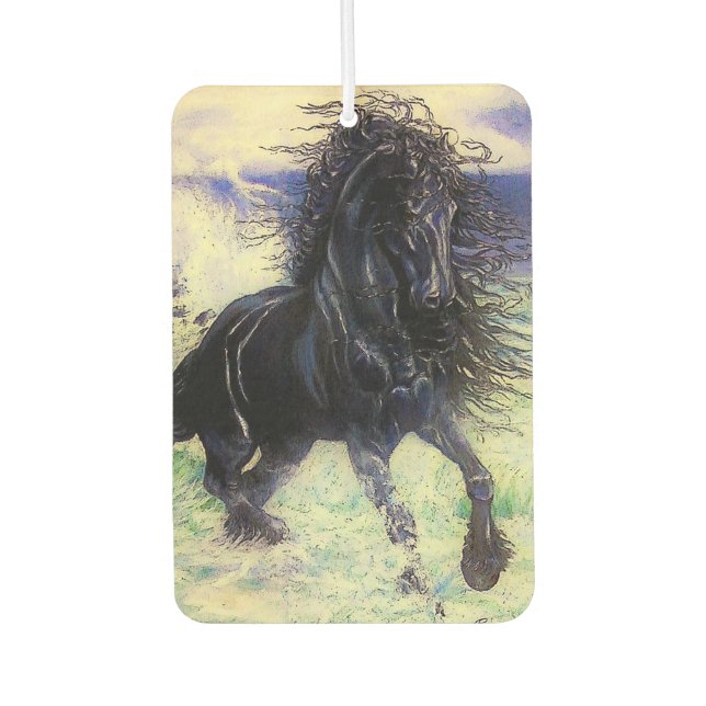 Ambientador Frisón, semental negro, caballo Frisan/Frisón/7  (Anverso)