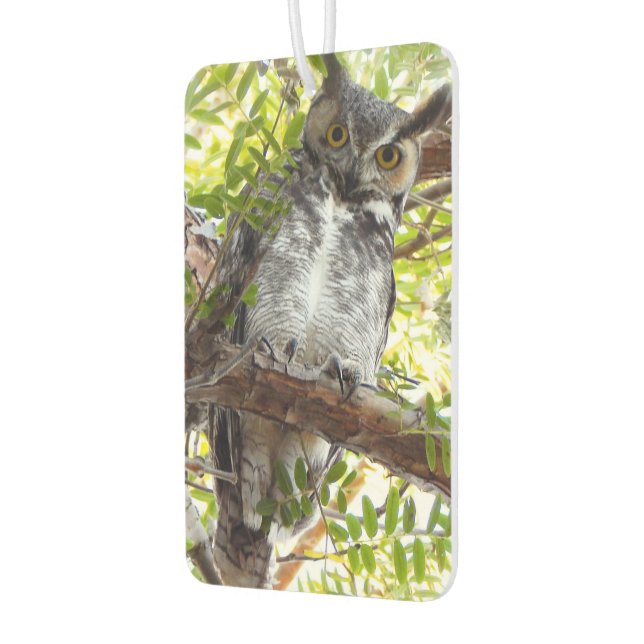 Ambientador Fun Owl Mirándote (Izquierda)