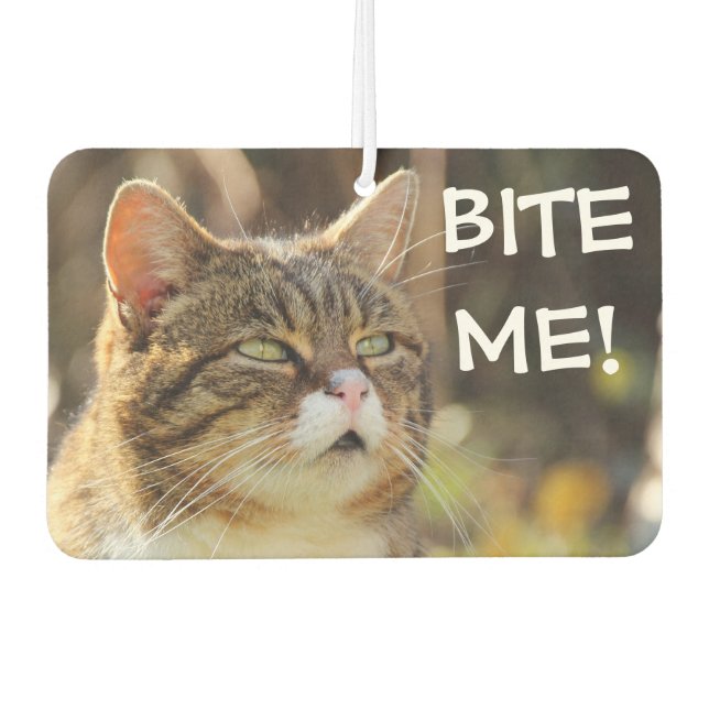 Ambientador Funny Sassy Cat with Attitude Bite Me (Anverso)