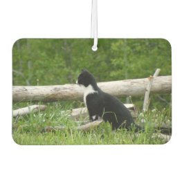 Ambientador Gatito negro y blanco