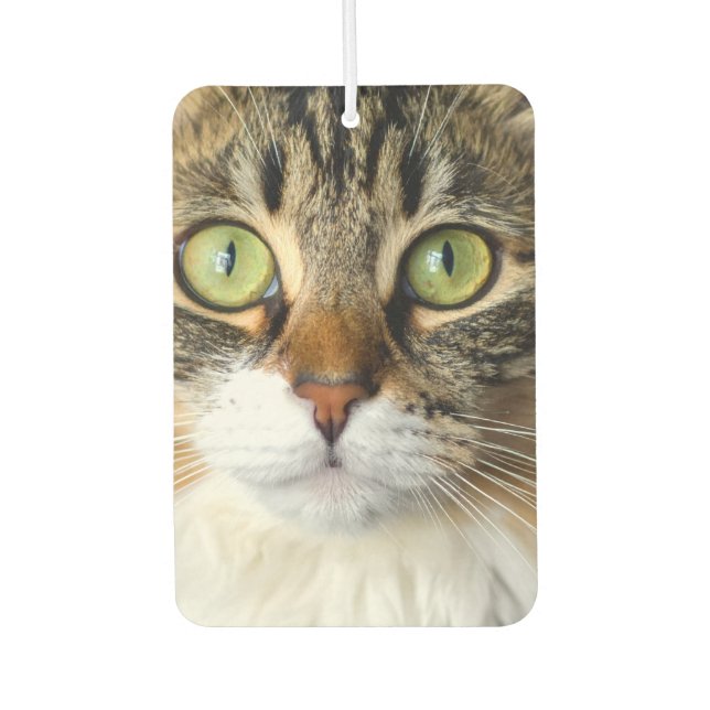 Ambientador Gato (Anverso)