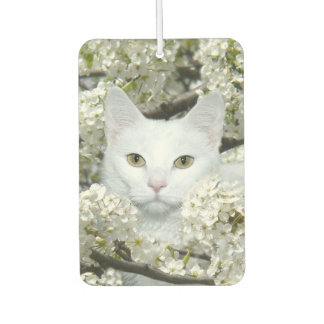 Ambientador Gato blanco en flores blancas