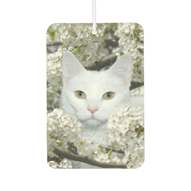 Ambientador Gato blanco en flores blancas (Anverso)