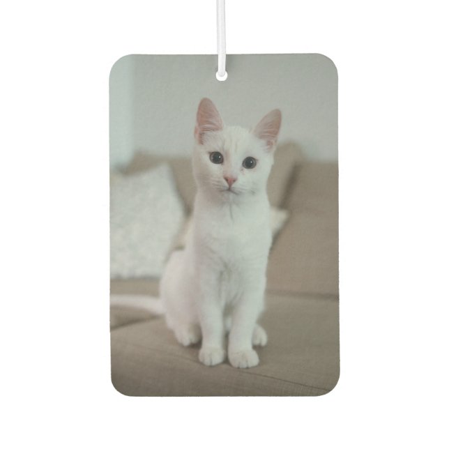 Ambientador Gato blanco | Zazzle_Growshop. (Anverso)